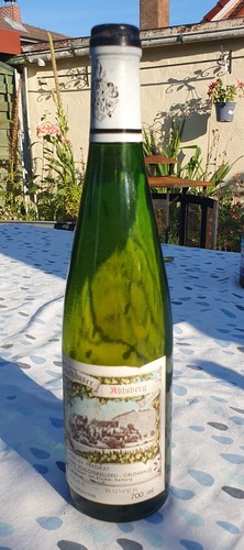 1981 maximin grünhäuser - 1981,